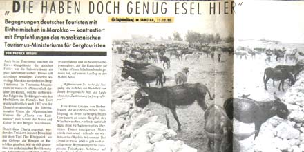 Esel in Marokko