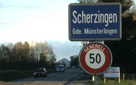 Scherzingen B